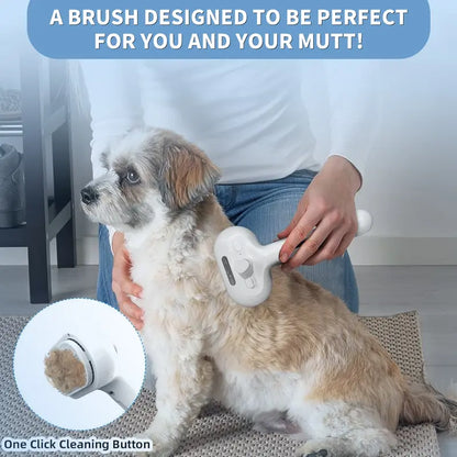 Pet Spray Hair Removal Brush VIP
